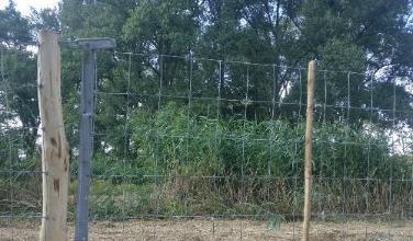 Fermeture &agrave; excentrique ou cl&ocirc;ture grillag&eacute;e pour cl&ocirc;turer un champ, domaine ou jardin.
