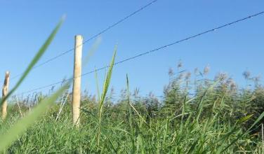 Fil barbel&eacute; de Naturae pour cl&ocirc;turer un champ, une for&ecirc;t, un terrain ou un domaine.
