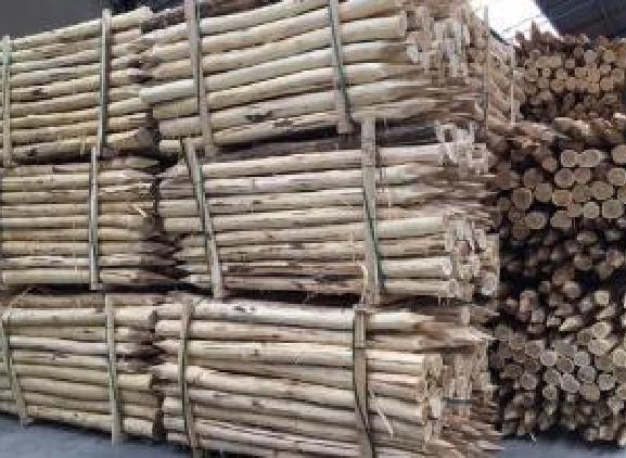 hout hout